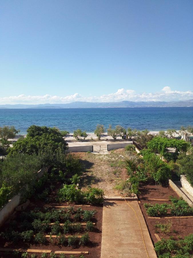 Apartments Zvonimir,Place By The Sea Mirca  Luaran gambar