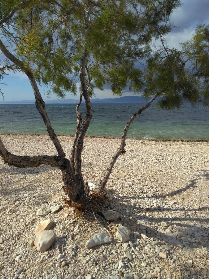 Apartments Zvonimir,Place By The Sea Mirca  Luaran gambar